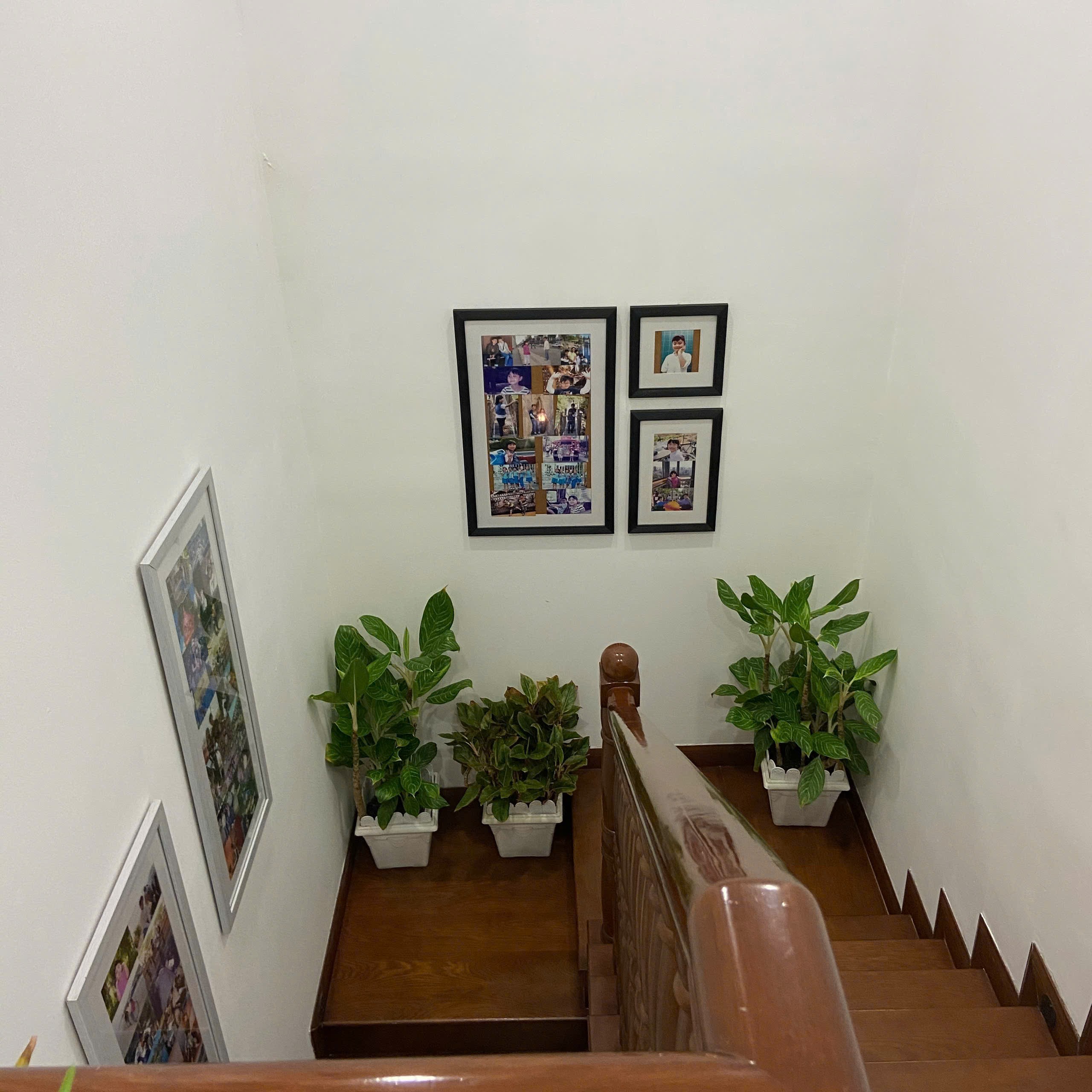 Cho thuê Căn hộ chung cư Quận 5, Hồ Chí Minh, Diện tích 300m², Giá Thương lượng 12