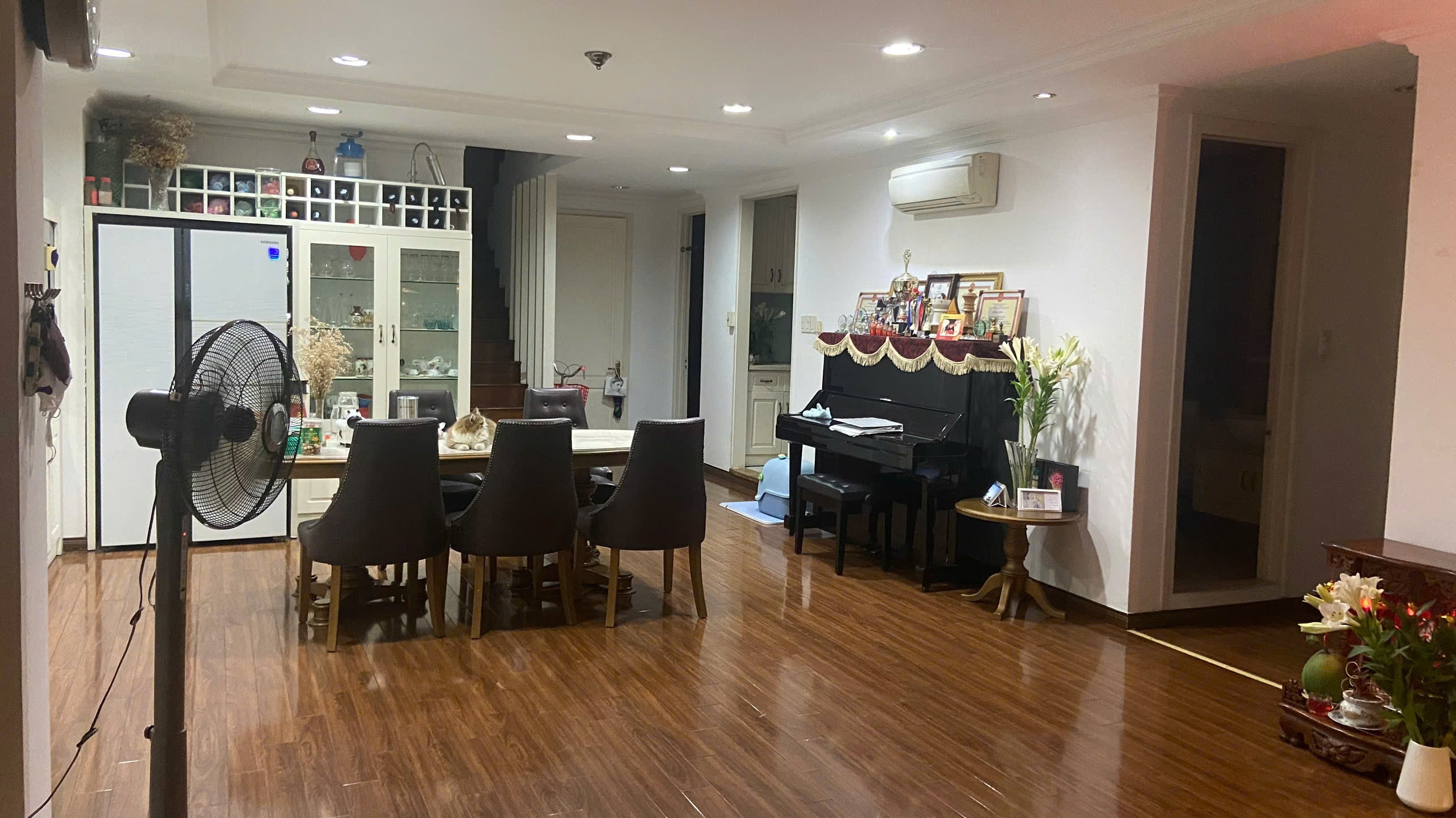 Cho thuê Căn hộ chung cư Quận 5, Hồ Chí Minh, Diện tích 300m², Giá Thương lượng 6