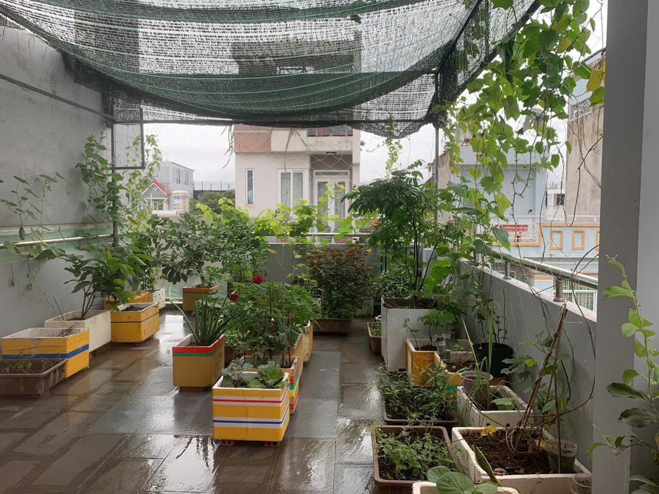 Cần bán Nhà mặt tiền đường Lò Lu, Phường Trường Thạnh, Diện tích 68m², Giá Thương lượng 3
