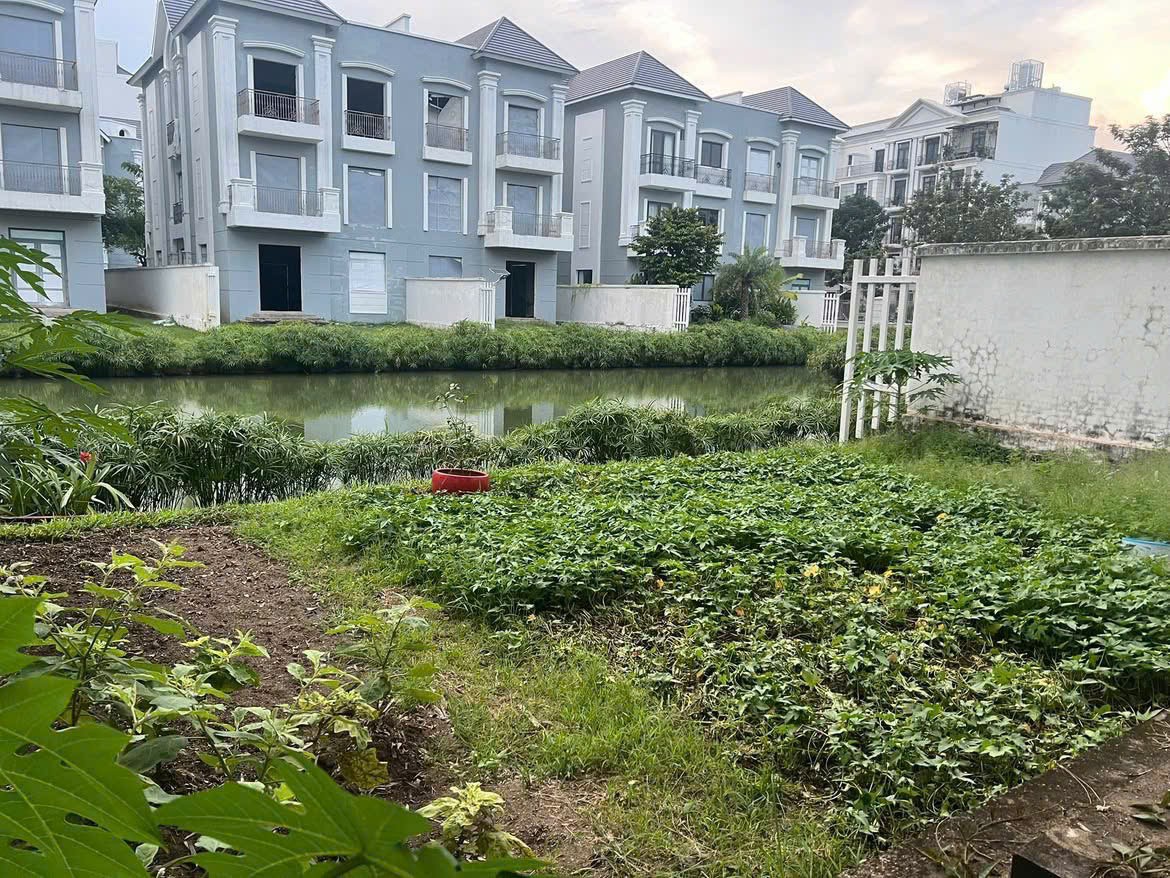 Cần bán Biệt thự Quận 9, Hồ Chí Minh, Diện tích 300m², Giá 59 Tỷ 6
