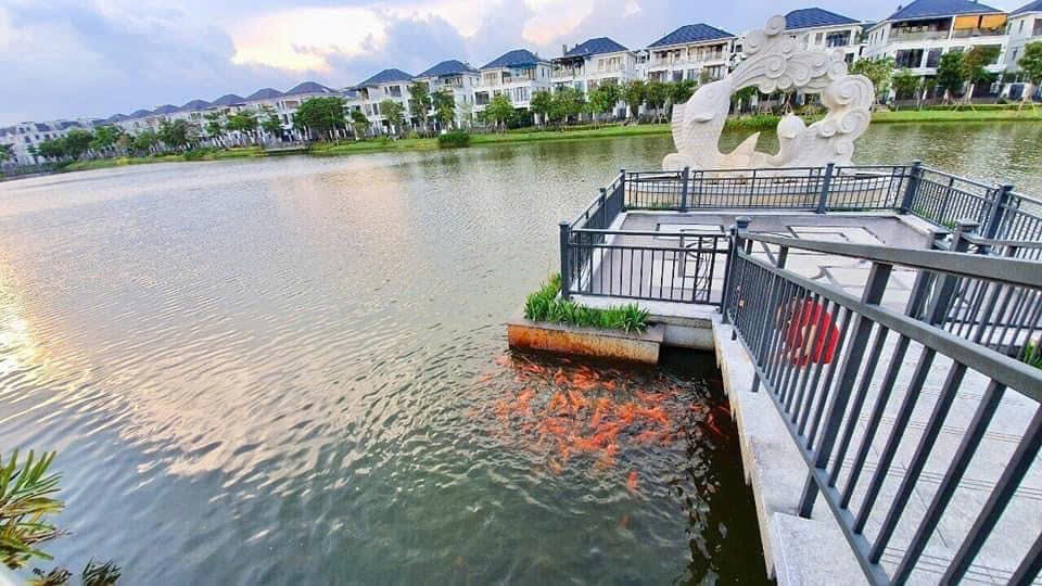 Cho thuê Biệt thự Phường An Phú, Quận 2, Diện tích 176m², Giá 50 Triệu/tháng 2