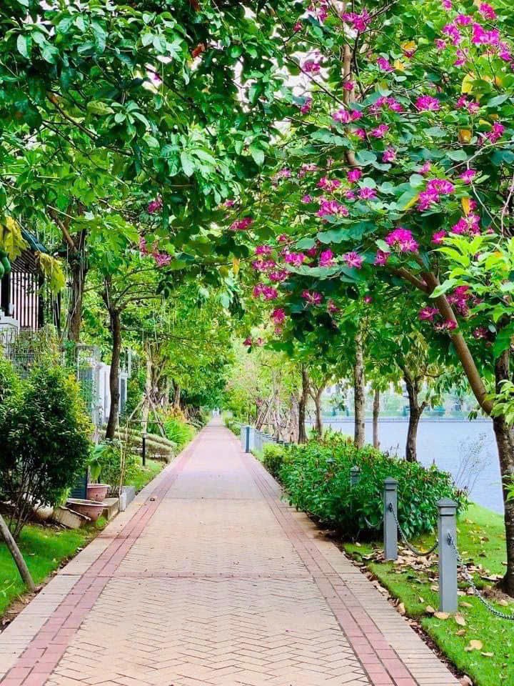 Cho thuê Biệt thự Phường An Phú, Quận 2, Diện tích 176m², Giá 50 Triệu/tháng 5
