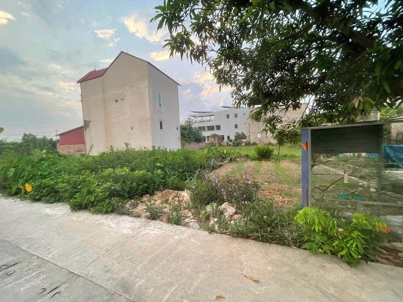Bán đất tổ 9, Quang Minh, Mê Linh. Gần bìa làng, đường thông, oto tránh, gần KCN