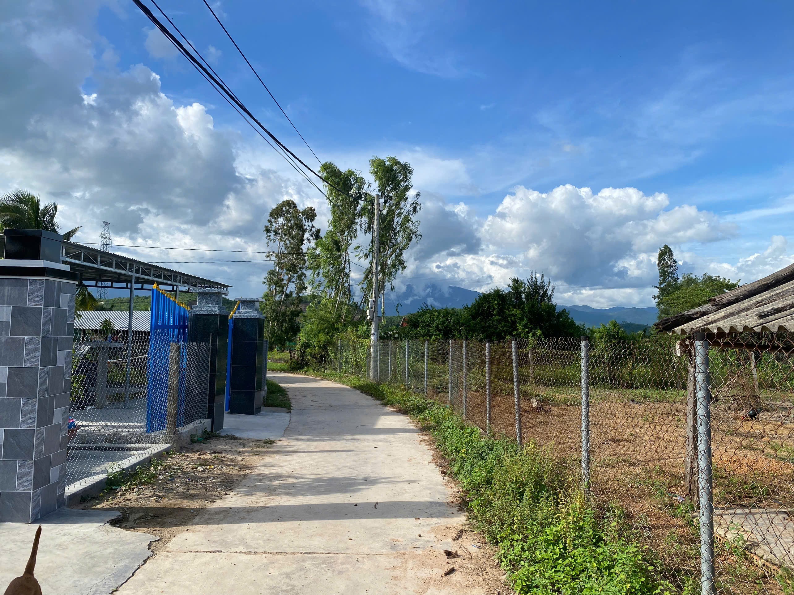 Cần bán Đất Xã Ninh Trung, Ninh Hòa, Diện tích 135m², Giá 299 Triệu 3
