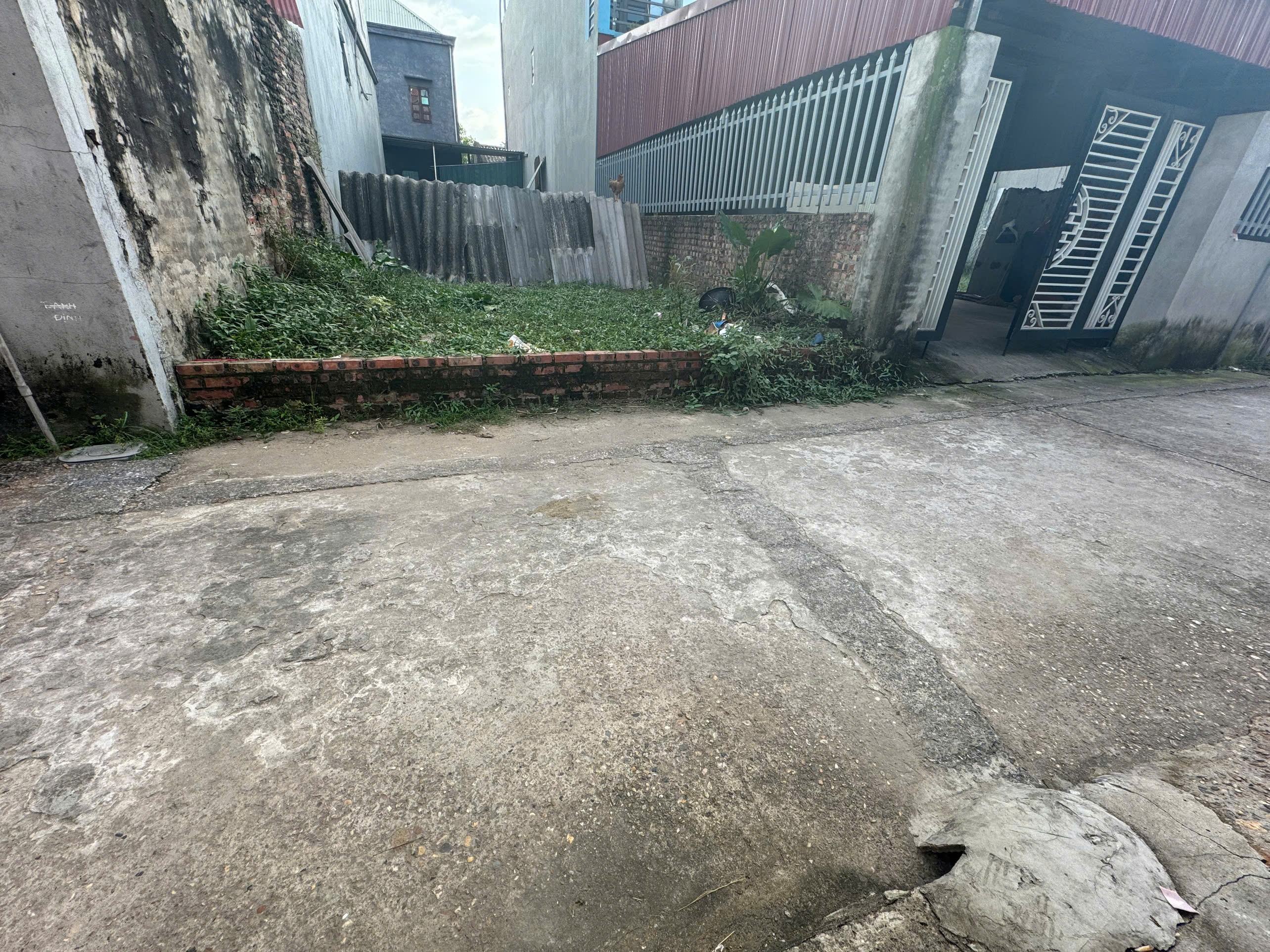 BÁN ĐẤT 94.8M² – ĐƯỜNG NHẠN, XUÂN NỘN – Ô TÔ VÀO NHÀ 5