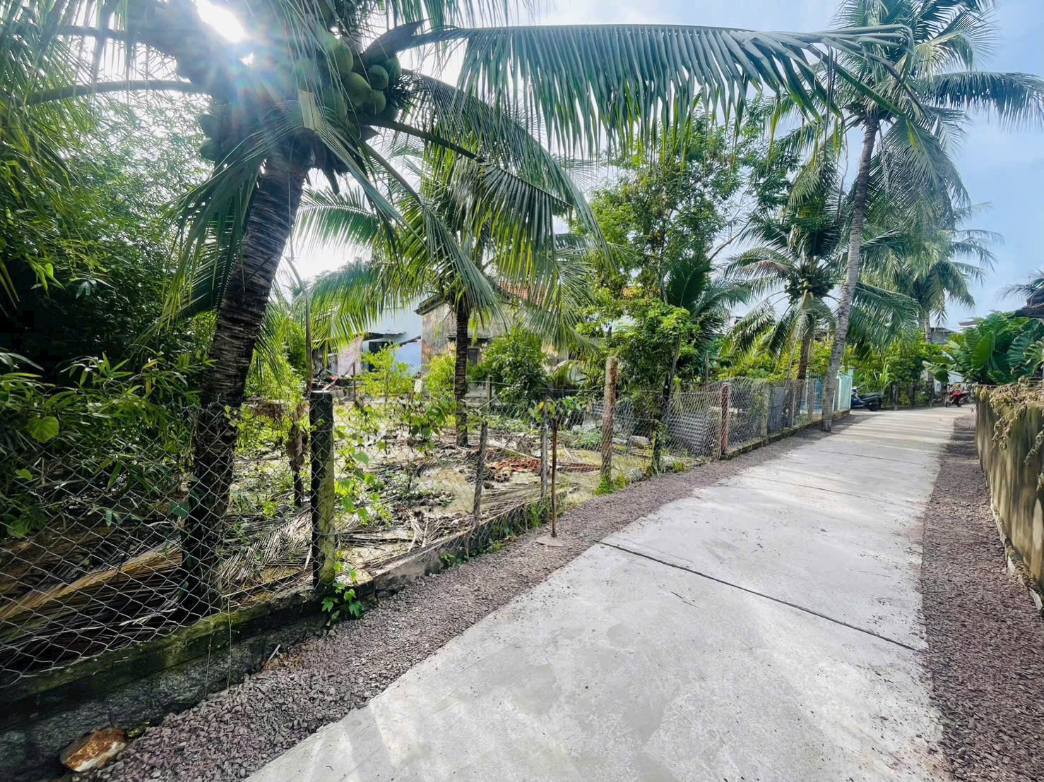 Cần bán Đất Xã Ninh Quang, Ninh Hòa, Diện tích 176m², Giá 790 Triệu 6