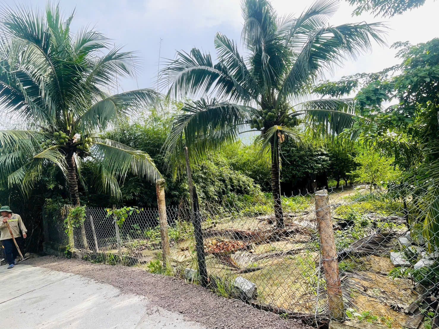 Cần bán Đất Xã Ninh Quang, Ninh Hòa, Diện tích 176m², Giá 790 Triệu 7