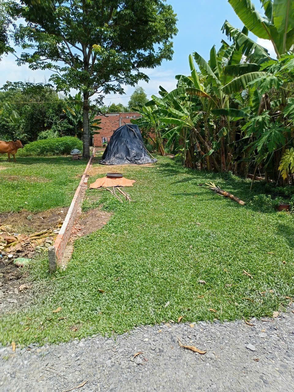 Đất thổ cư xã Đức Hòa Thượng dt 209m2 giá 1,4 tỷ 2