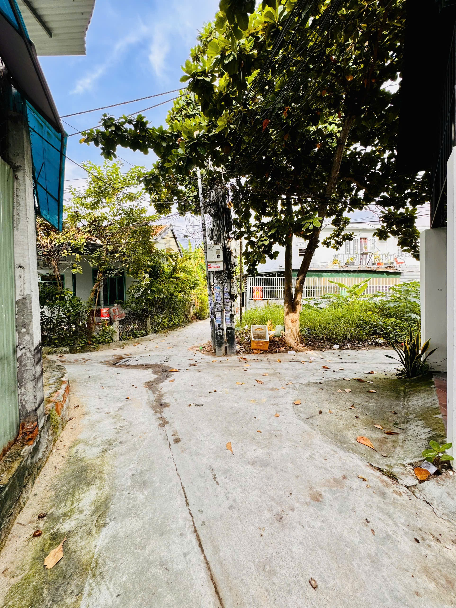 LÔ ĐẤT FULL THỔ CƯ HẺM THÔNG NGAY ĐƯỜNG PHÚ XƯƠNG, BẮC NHA TRANG 5