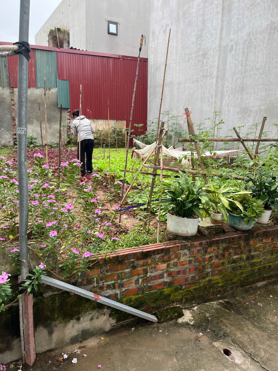 Bán đất hàng hiếm tại Ngọc Tảo, Phúc Thọ, Hà Nội, 34 triệu / m2, 104 m2 3