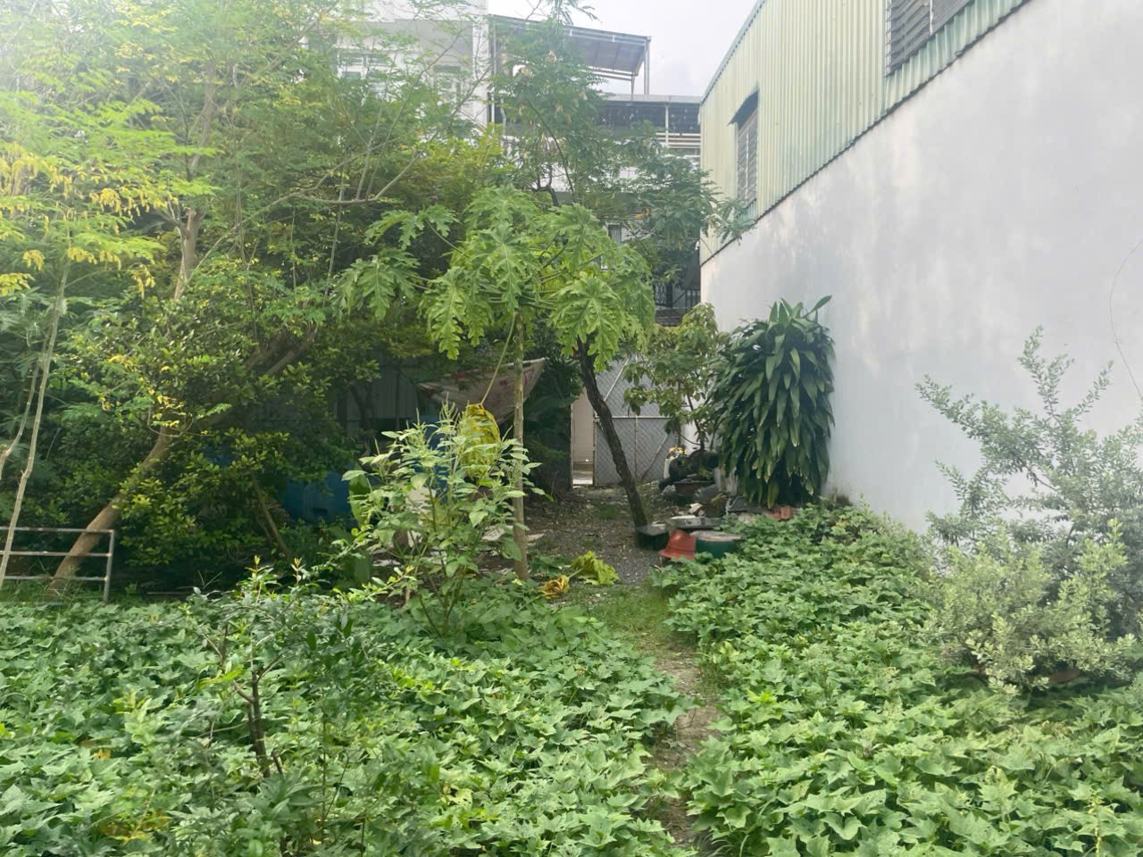 HÀNG KÍN – ĐẤT HIẾM FULL THỔ CƯ 383m² – ĐÔNG HƯNG THUẬN 17, Q12 4