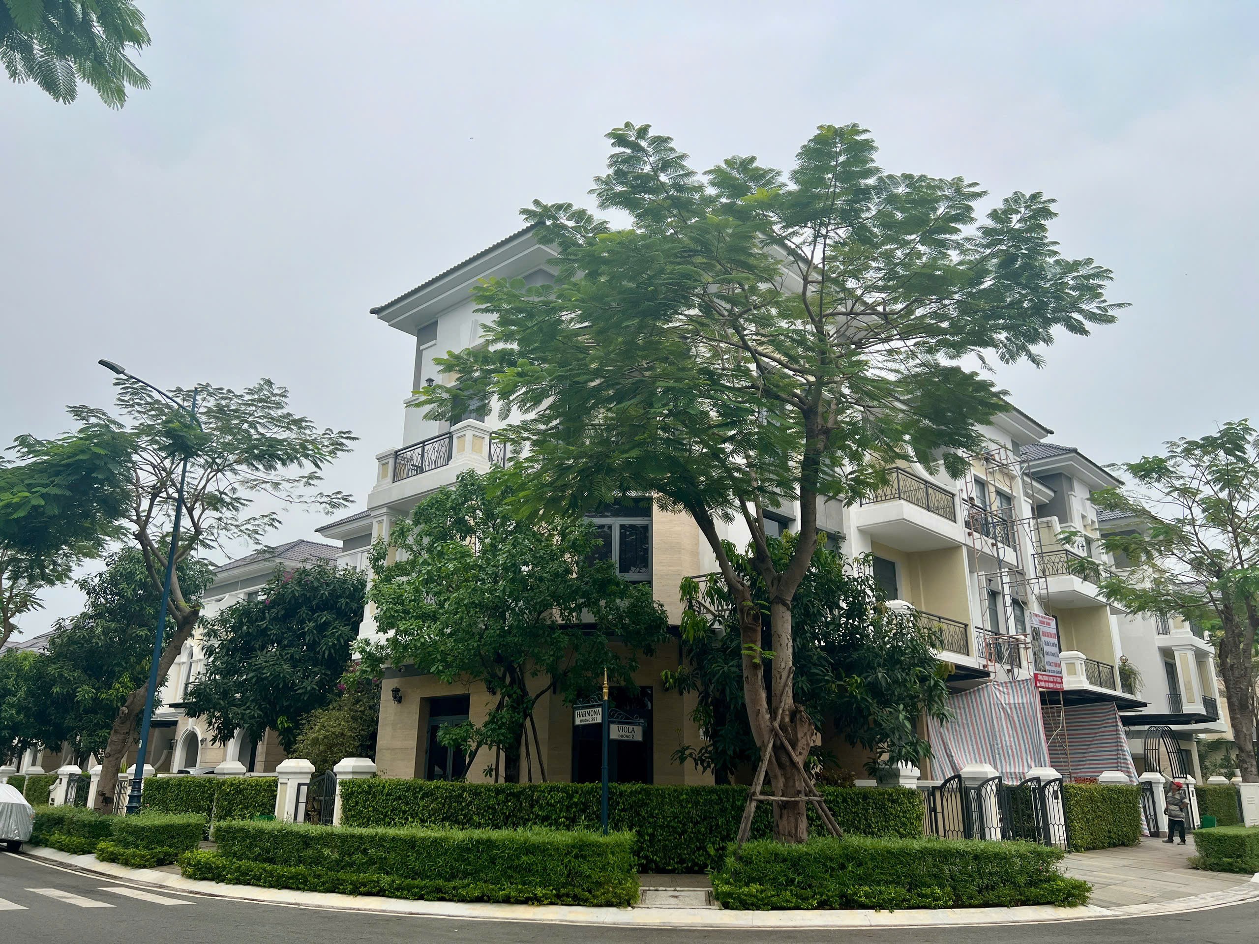 Cần bán Nhà mặt tiền Phường Phú Hữu, Quận 9, Diện tích 109m², Giá 17.8 Tỷ