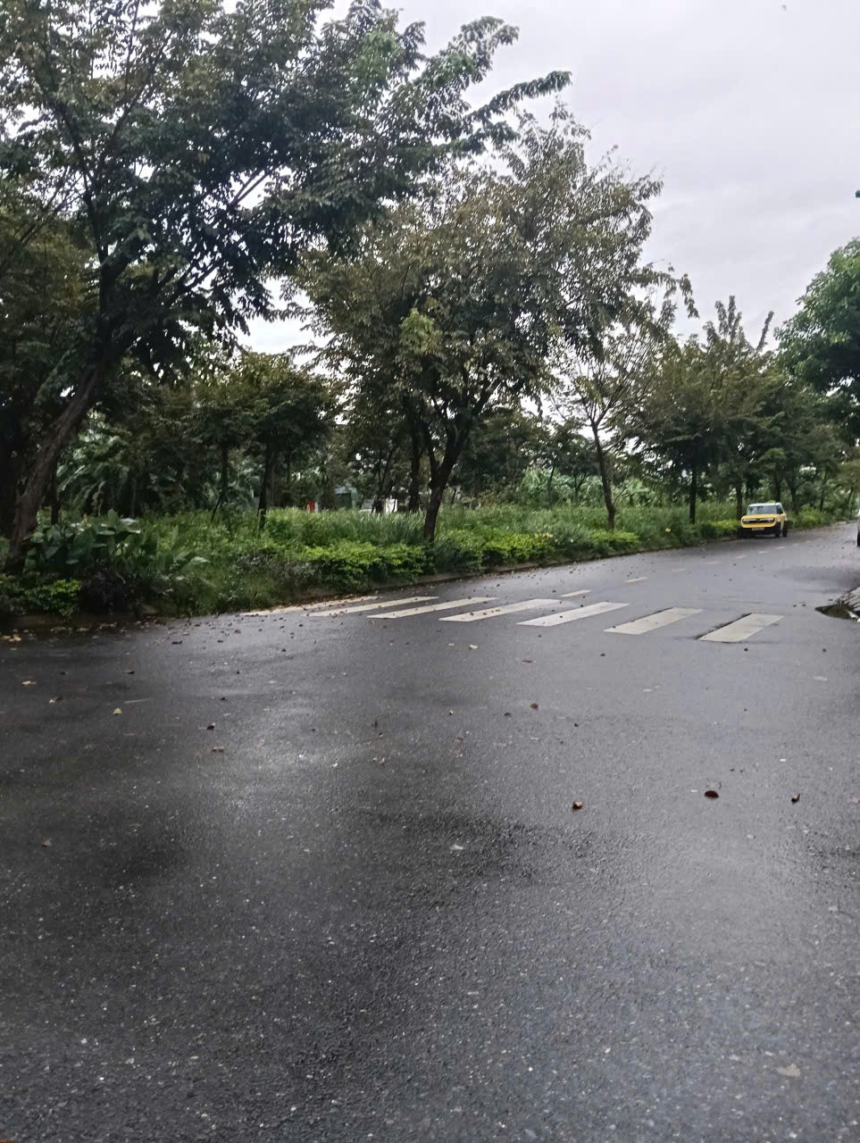 BÁN KHÁCH SẠN 6 TẦNG ĐƯỜNG TRẦN MINH TÔNG, HÀO MINH, ĐÀ NẴNG 2