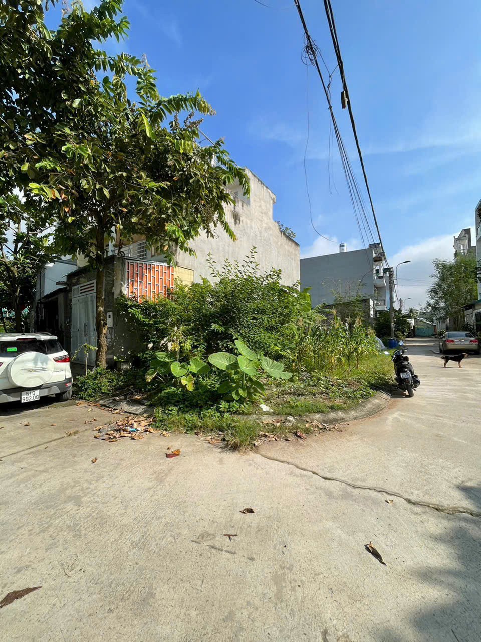 Cần bán Đất Quận 9, Hồ Chí Minh, Diện tích 105m², Giá 5 Tỷ 3