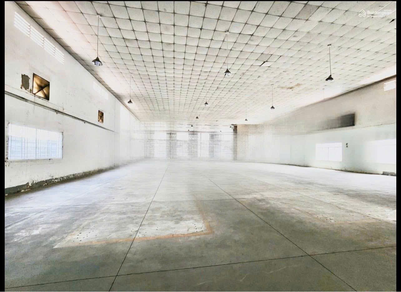 Cho thuê Kho - Nhà xưởng Phường Linh Trung, Thủ Đức, Diện tích 2700m², Giá 250 Triệu/tháng 3