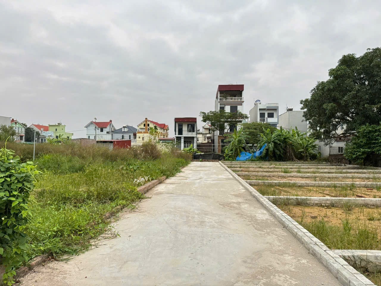 Bán đất thôn Ấp Tre, (Tổ 9 cũ), xã Quang Minh, TP HN. Thửa đất vuông đẹp, đường rộng 3,5m 3