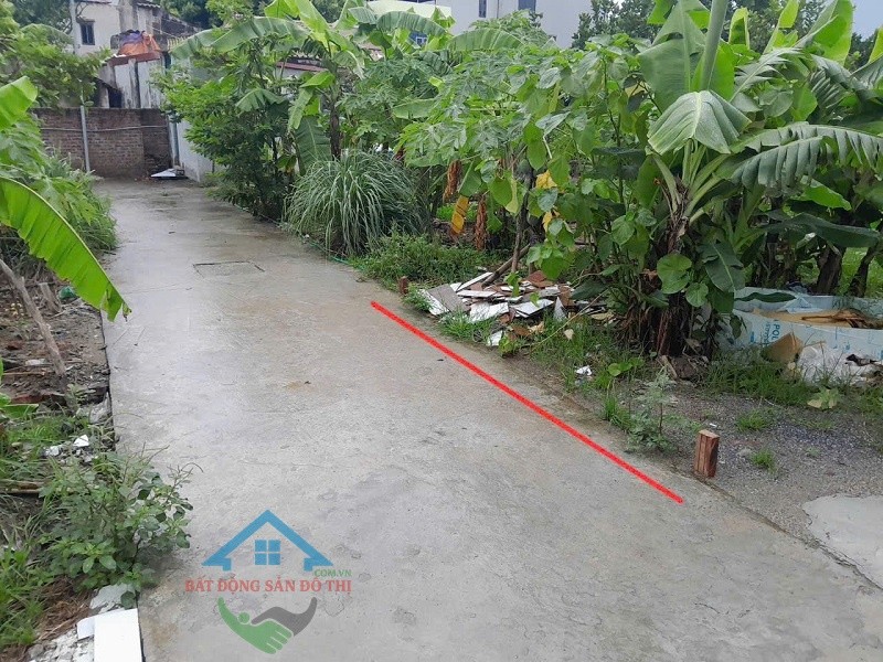 Bán đất Phượng Mỹ Mỹ Hưng Thanh Oai – Sát KĐT Mỹ Hưng, 52m2 giá Đầu Tư, An Sinh Đỉnh 2