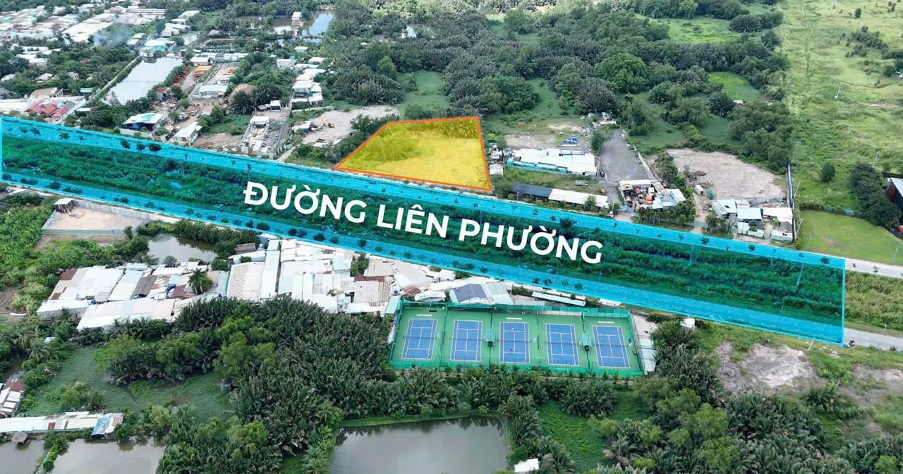 Cho thuê Đất Phường Phú Hữu, Quận 9, Diện tích 2800m², Giá 080 Triệu/tháng 2
