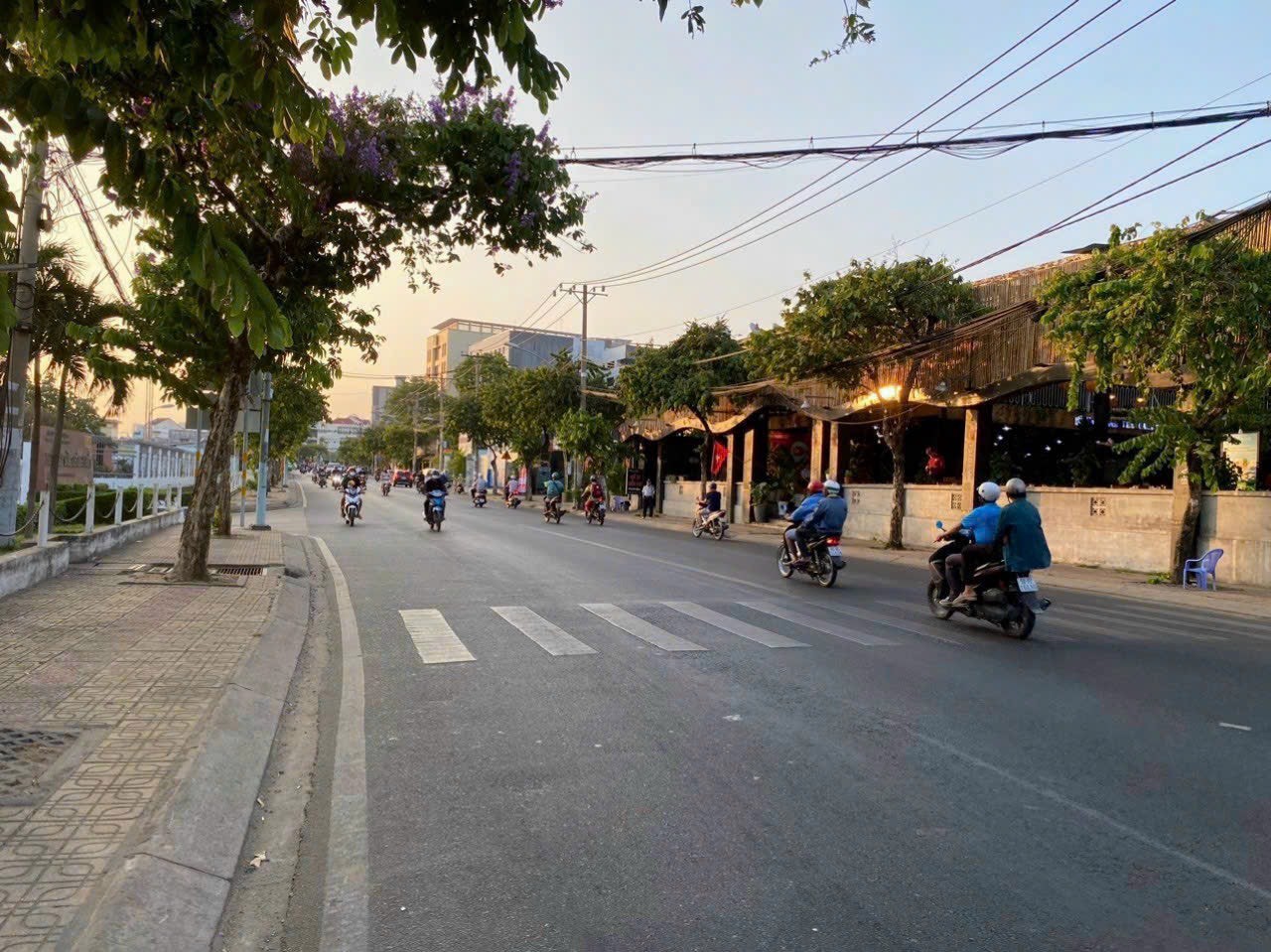 Cho thuê Đất Phường Bình Thọ, Thủ Đức, Diện tích 1212m², Giá 80 Triệu/tháng 2