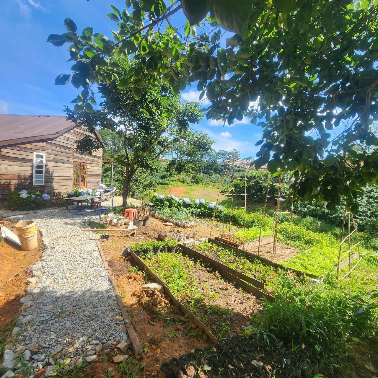 CHO THUÊ HOMESTAY TRẦN THÁI TÔNG PHƯỜNG 9  – ĐÀ LẠT 2