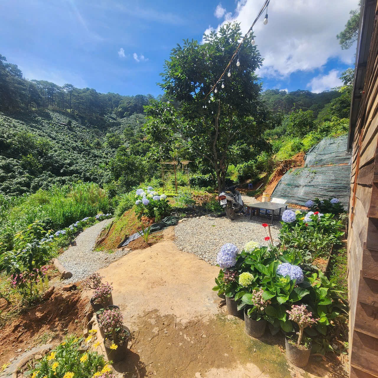 CHO THUÊ HOMESTAY TRẦN THÁI TÔNG PHƯỜNG 9  – ĐÀ LẠT 3