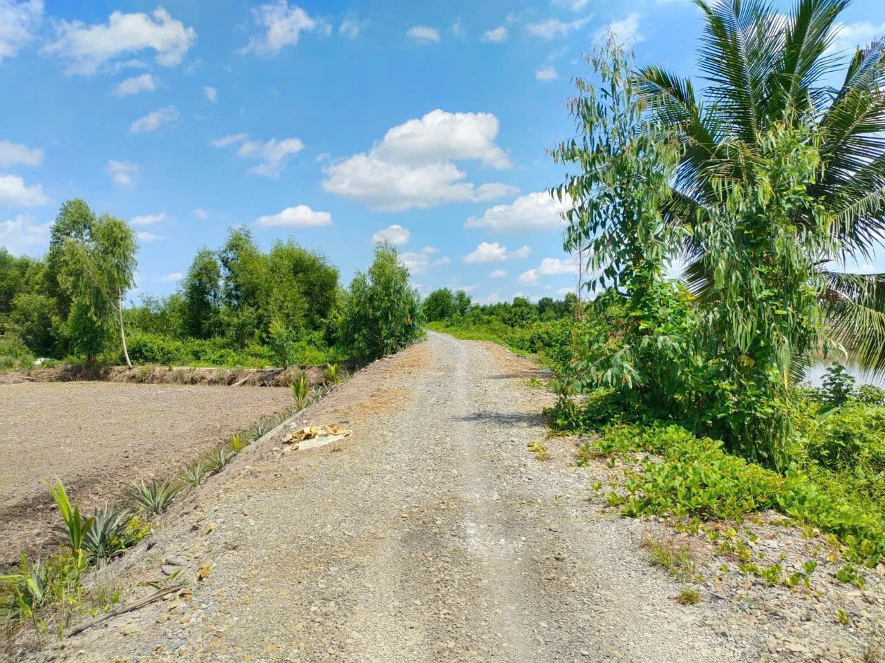 Bán đất vườn mặt tiền kênh ở Thù Thừa tổng dt 13.309m2 giá 7,8 tỷ 2