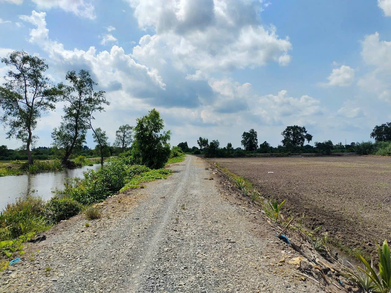 Bán đất vườn mặt tiền kênh ở Thù Thừa tổng dt 13.309m2 giá 7,8 tỷ 4