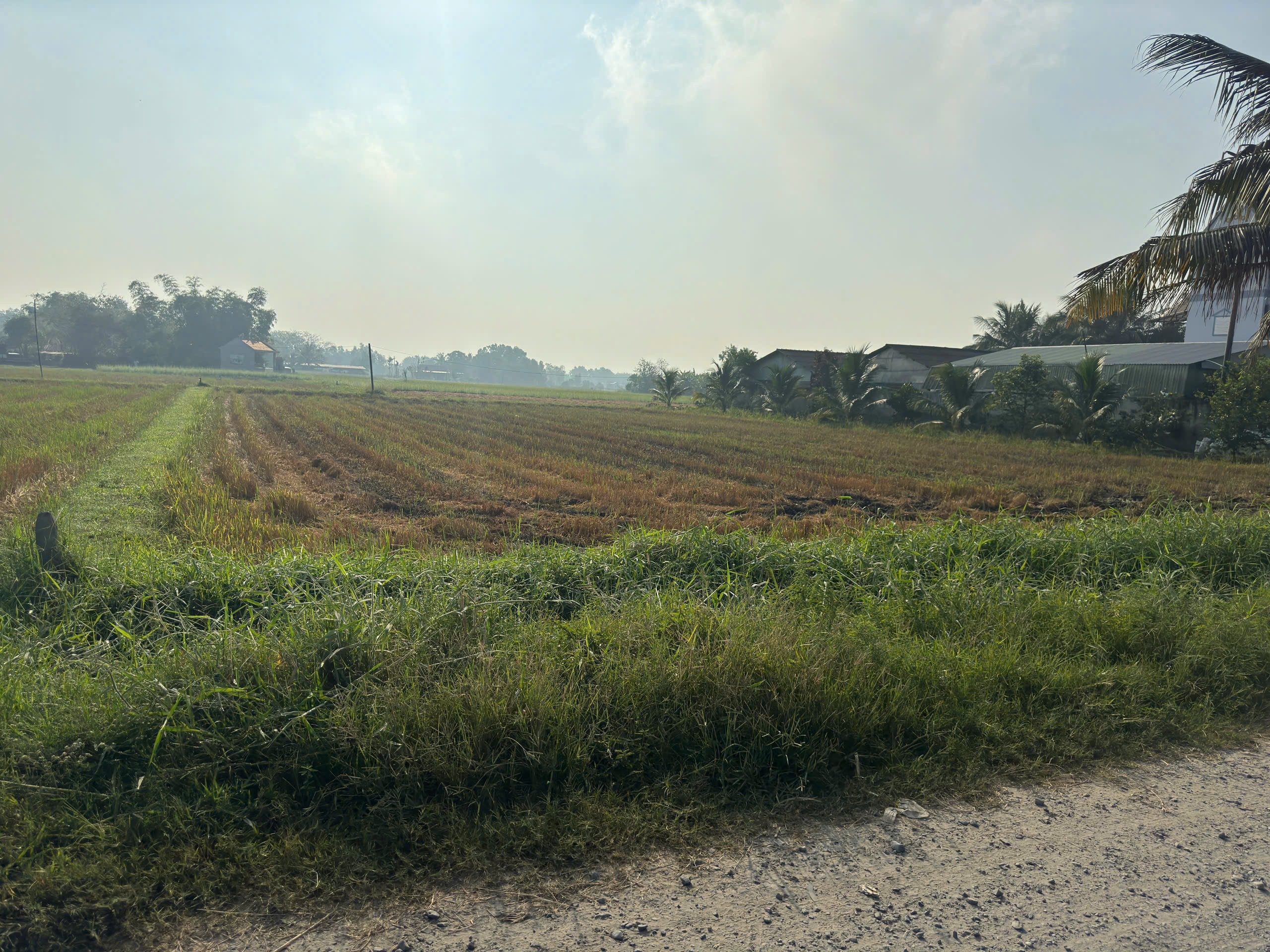 Bán 2 lô thổ cư vuông vức, đường xe hơi , xã Đức Lập Hạ, tổng dt 2 lô 600m2 giá 3,6 tỷ 4