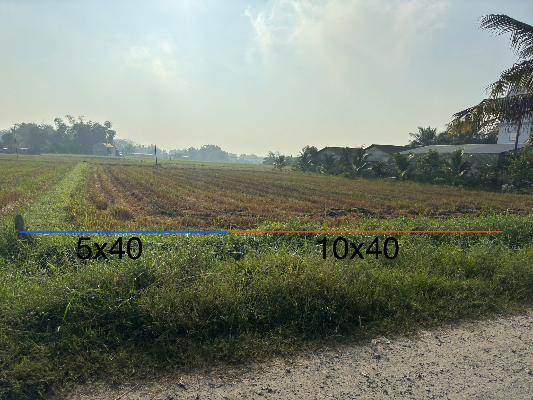 Bán 2 lô thổ cư vuông vức, đường xe hơi , xã Đức Lập Hạ, tổng dt 2 lô 600m2 giá 3,6 tỷ 5