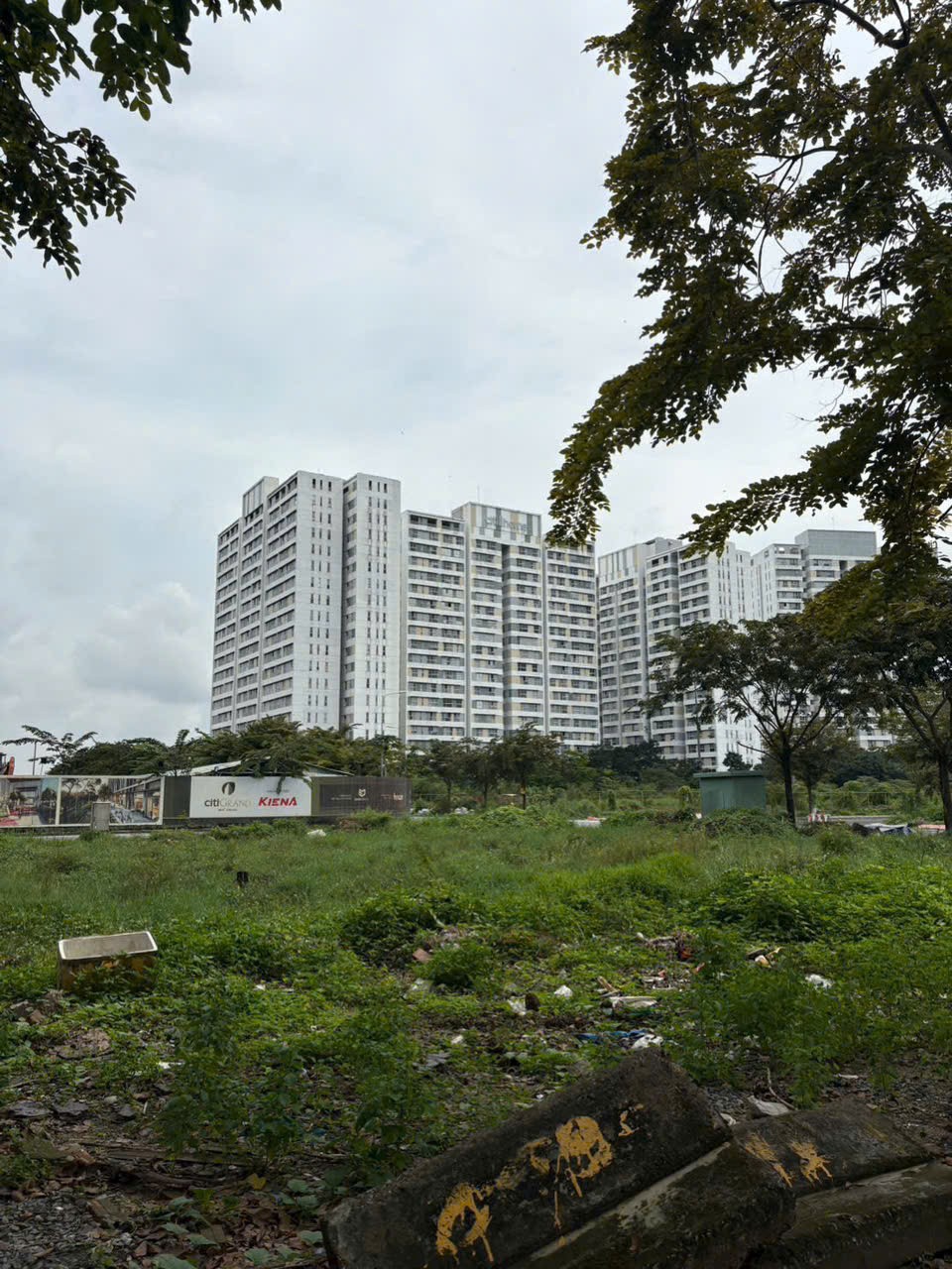 Cần bán Nhà mặt tiền Phường Cát Lái, Quận 2, Diện tích 120m², Giá 14.4 Tỷ 4