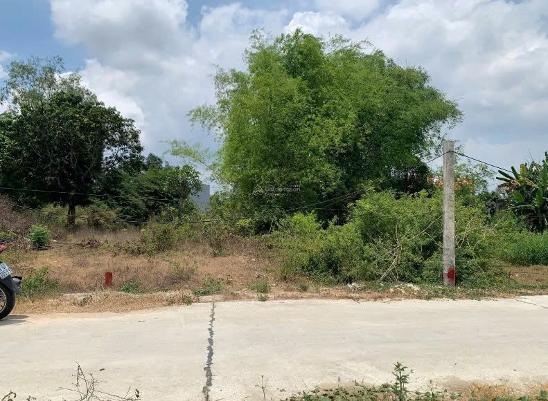 Cần bán Đất Xã Hoàng Tiến, Chí Linh, Diện tích 200m², Giá 30 Triệu/m² 2