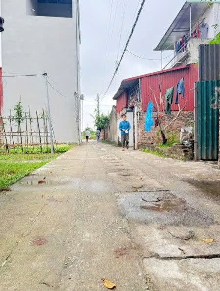 Cần bán Đất Xã Hoàng Tiến, Chí Linh, Diện tích 350m², Giá 27 Triệu/m² 2