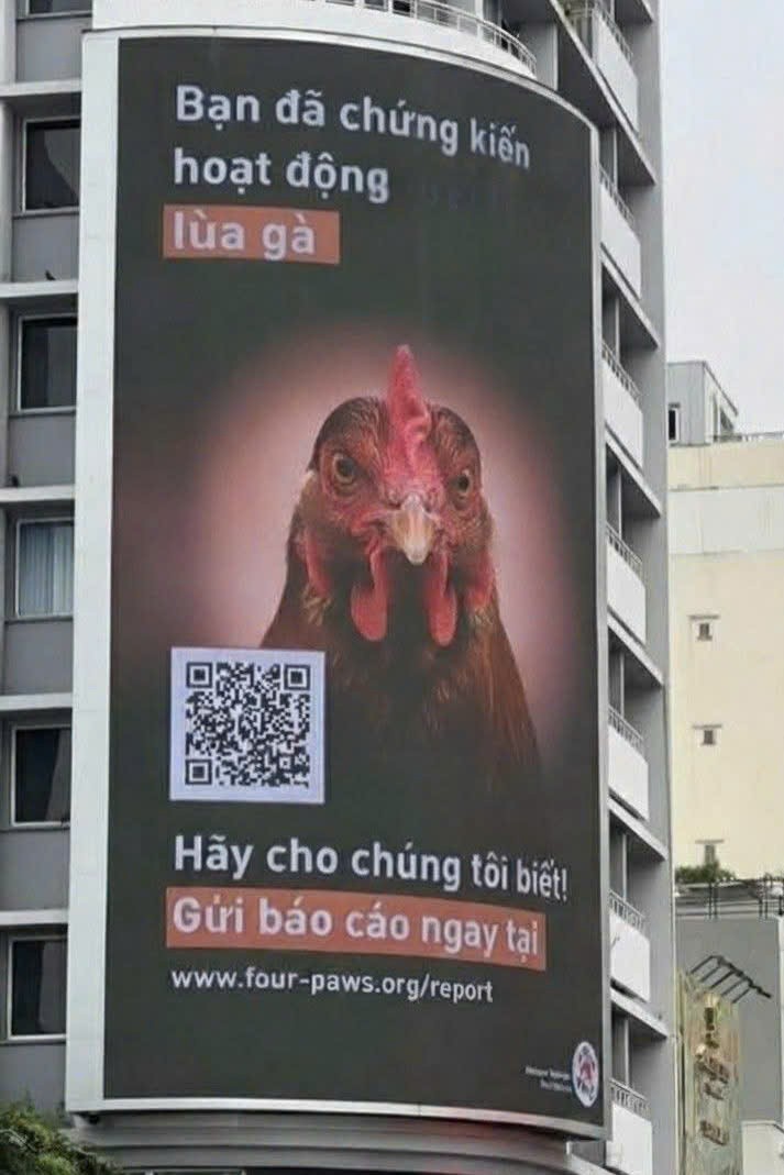 Cần bán Nhà mặt tiền Phường Tân Hưng, Quận 7, Diện tích 150m², Giá 47 Tỷ 3