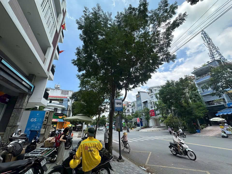 Bán Nhà mặt tiền Bình Thạnh, Hồ Chí Minh, Diện tích 316m2 2