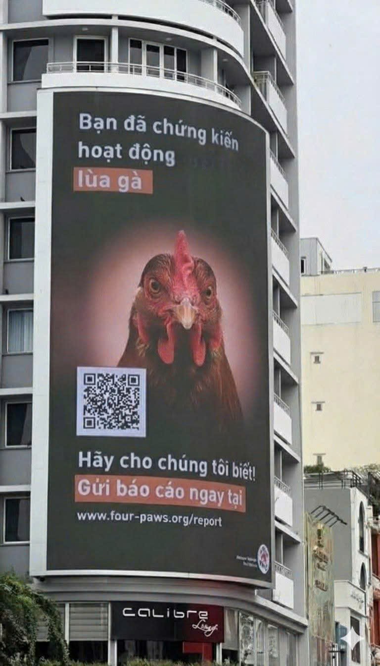 Cần bán Đất Phường Tăng Nhơn Phú A, Quận 9, Diện tích 2200m², Giá 36 Tỷ 5