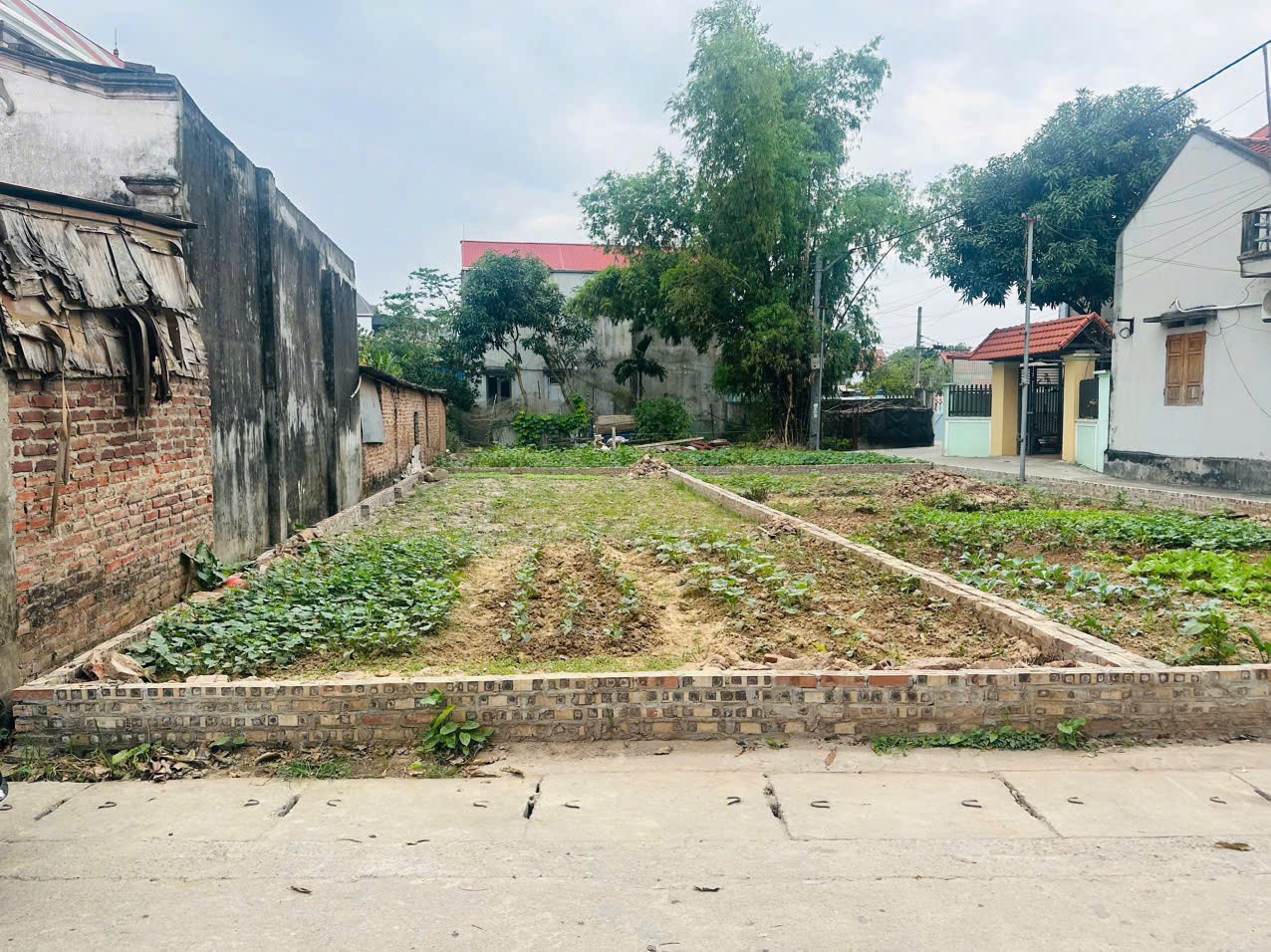 Bán 90m đất, mt 5m thôn Bạch Đa, Kim Hoa, Mê Linh. Gần KDT Kim Hoa, đường vành đai 4 3