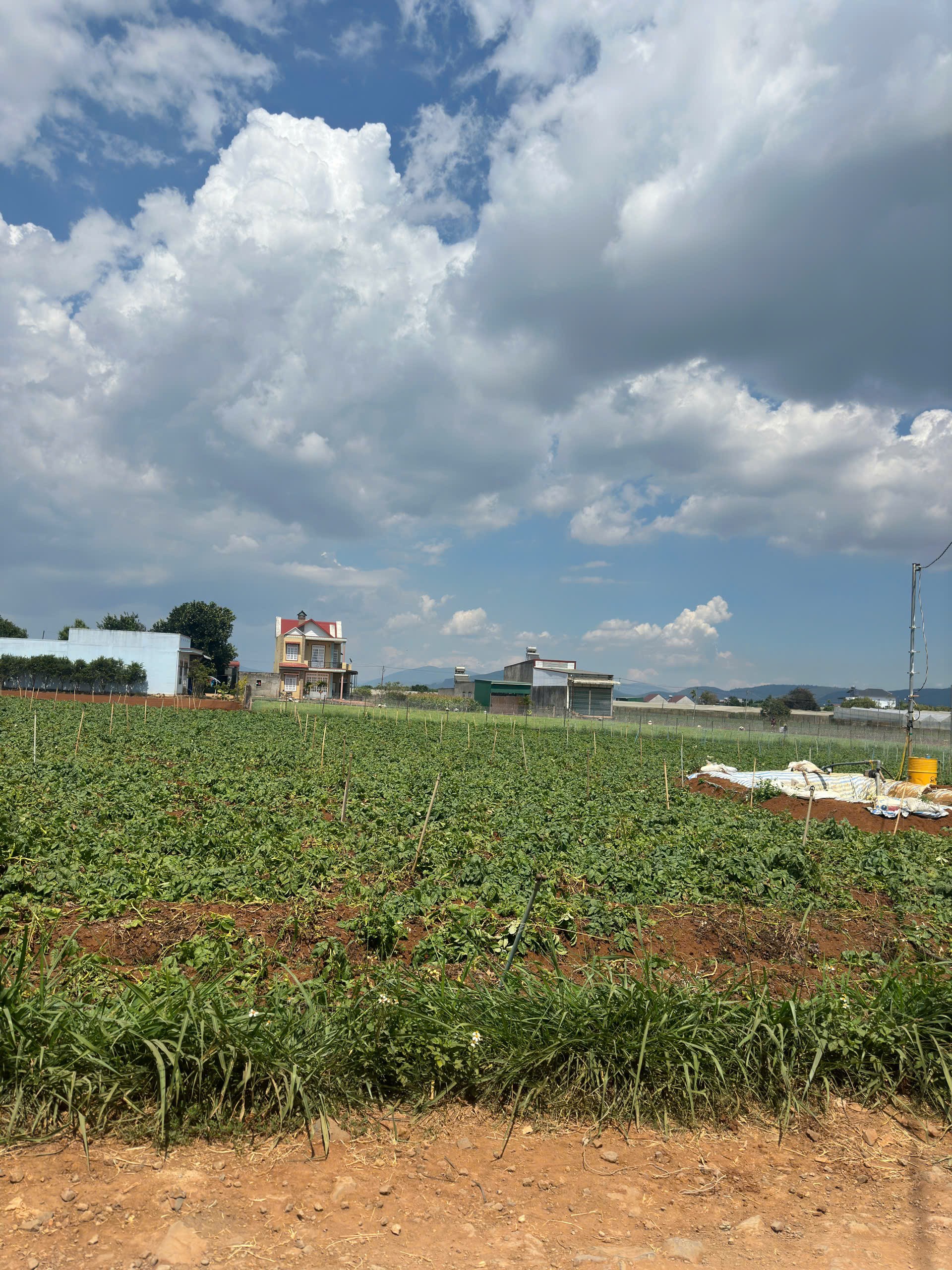 BÁN 505m2 ĐẤT TỔ 32 THỊ TRẤN LIÊN NGHĨA ĐỨC TRỌNG - LÂM ĐỒNG 2