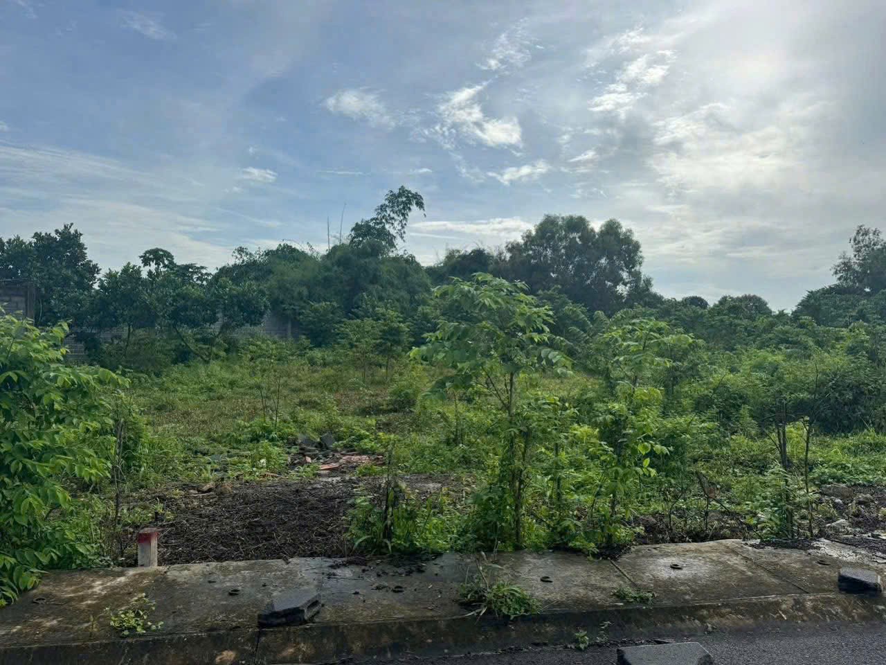 CHÍNH CHỦ CẦN BÁN GẤP 2 LÔ LIỀN KỀ – TAM AN, TAM PHƯỚC (nay là xã Long Điền)