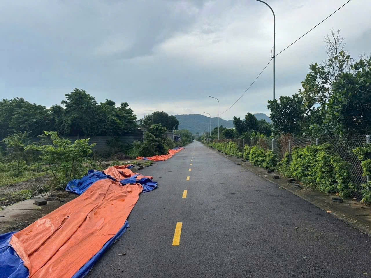 CHÍNH CHỦ CẦN BÁN GẤP 2 LÔ LIỀN KỀ – TAM AN, TAM PHƯỚC (nay là xã Long Điền) 2