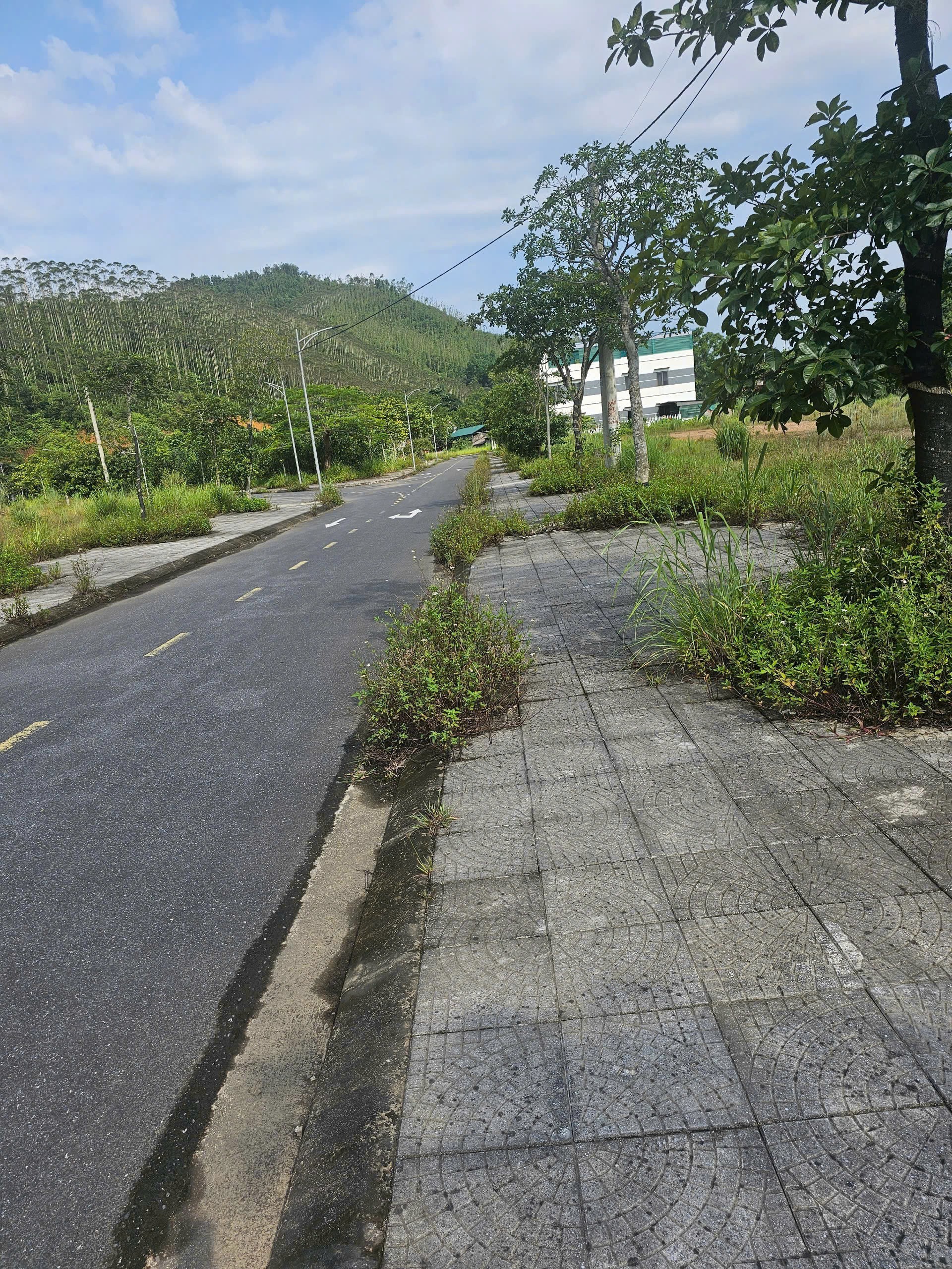 Cần bán Đất Thị trấn Yên Lập, Yên Lập, Diện tích 198m², Giá 29 Triệu/m² 3