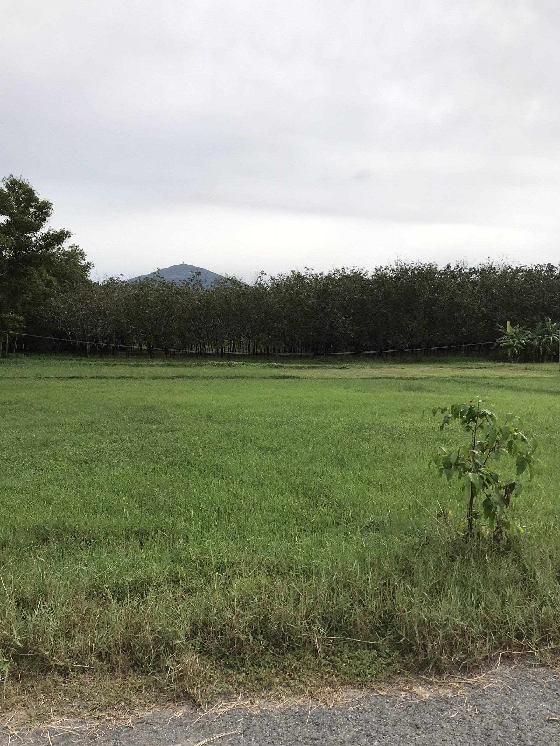 Đất TP Tây Ninh giá rẻ gần Vincom view núi Bà 4
