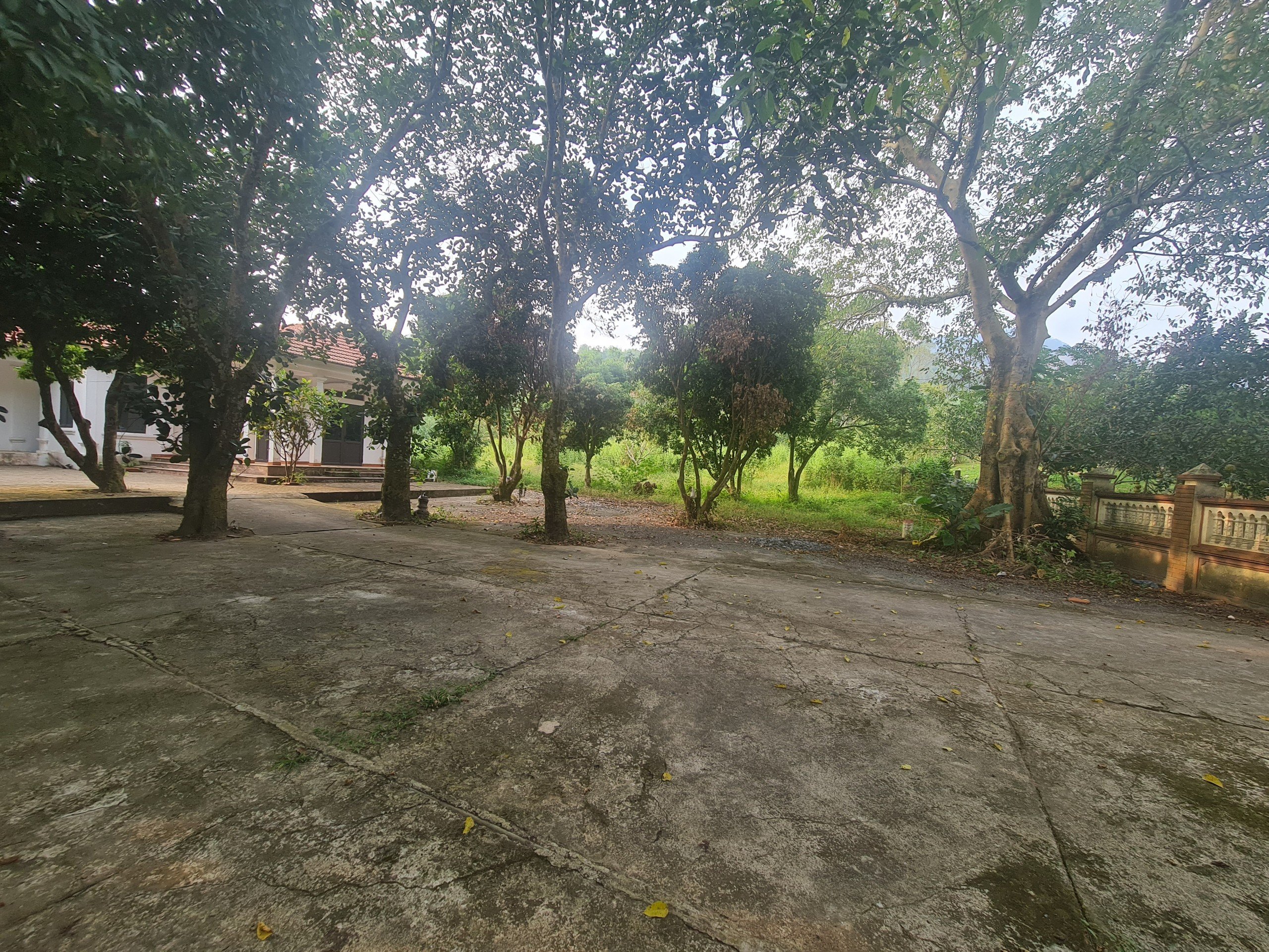 Bán 1,3 ha đất nghỉ dưỡng tại Ngọc Thanh, Phúc Yên Lh 0855823833 3