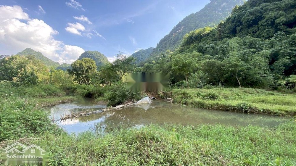 Bán gần 3000m có thổ cư và đất vườn tại Kim Bôi giá hơn 2 tỷ 3