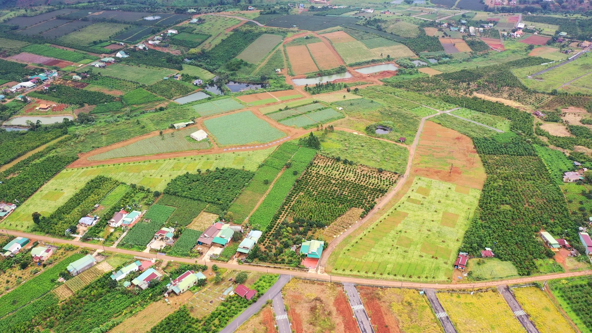 Bán gấp đất Bảo Lộc, full thổ cư, 500m2 giá 1 tỷ