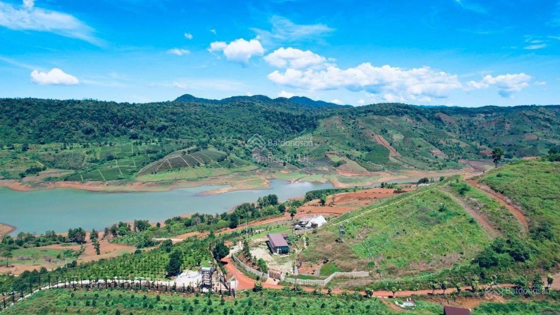 Bán gấp đất full thổ cư trên đồi, giá rẻ nhất khu vực Bảo Lộc