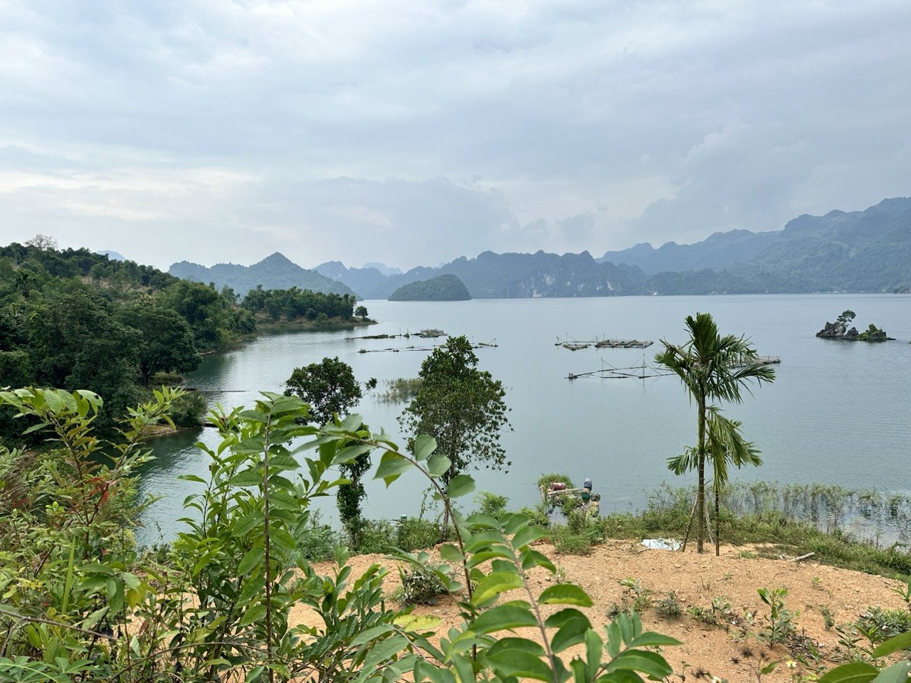 Cần bán Đất Xã Tiền Phong, Đà Bắc, Diện tích 6500m², Giá 14.000.000.000 Tỷ - LH: 0969622791 5