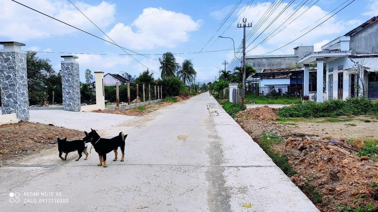 Cần bán Đất đường B1, Xã Ninh Thọ, Diện tích 75m², Giá 520 Triệu 5