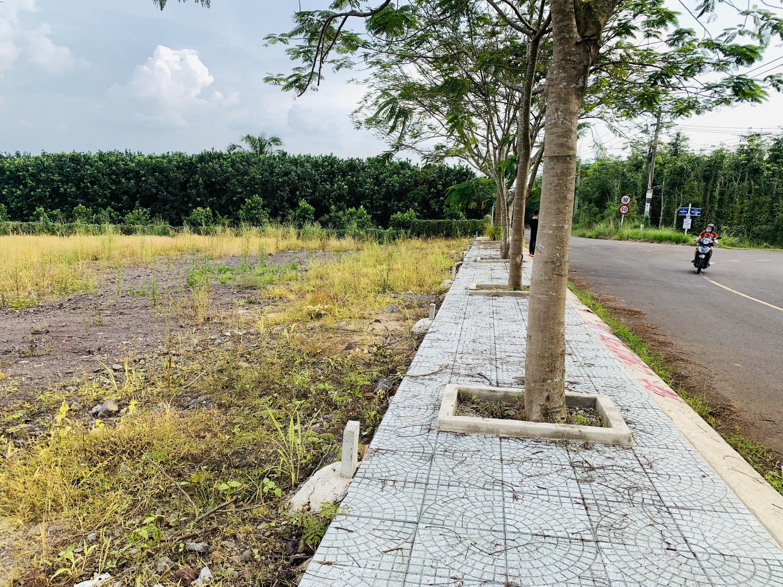 Cấn bán 2 lô đất thổ cư mặt tiền đường trung tâm Hưng Lộc mở rộng 32m 4