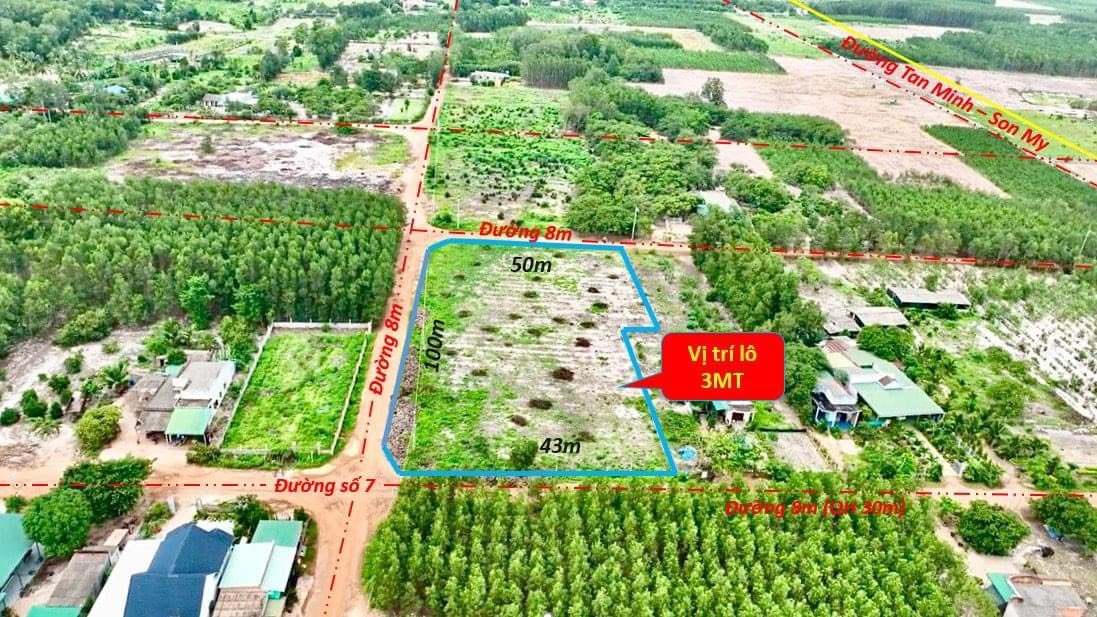 Cần bán Đất Xã Sơn Mỹ, Hàm Tân, Diện tích 85000m², Giá Thương lượng