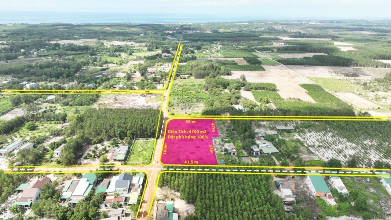 Cần bán Đất Xã Sơn Mỹ, Hàm Tân, Diện tích 4700m², Giá Thương lượng 3